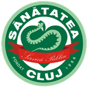 CS Sanatatea Cluj - Timisoara VS Cs Sanatatea Cluj Score Today