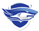 Chonburi FC - Fc VS Chonburi Fc Live Score