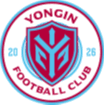 Yongin FC - Fc VS Daegu Football Club Result Today