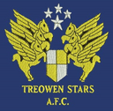 Treowen Stars - Stars VS Ammanford Live Score Today