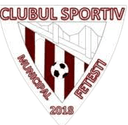 CSM Fetesti - Modelu VS Csm Fetesti Result Today