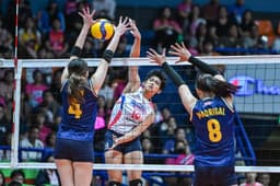 live score, sport predictions, fixtures and odds - Premier Volleyball League 10362 Schedule